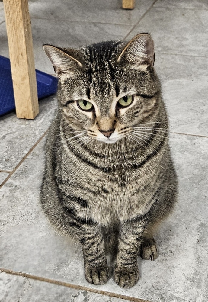 Tigger