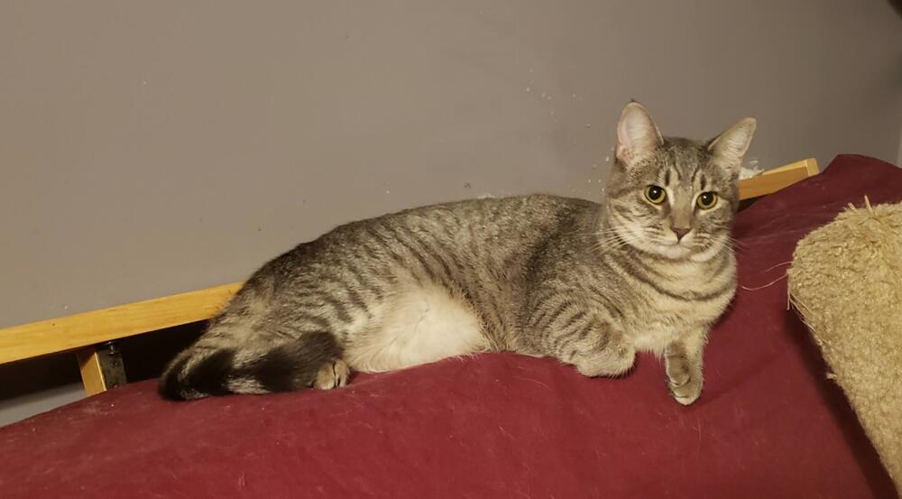 Esme