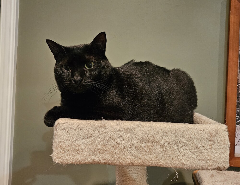 Handsome