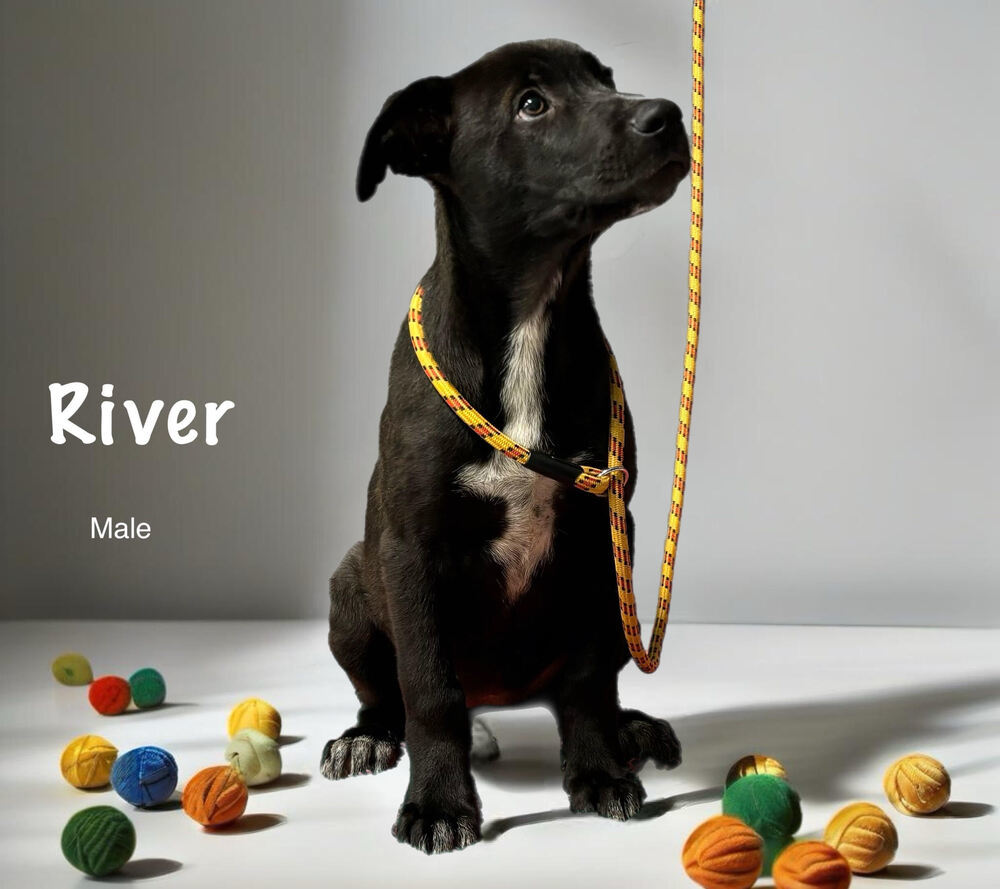 River
