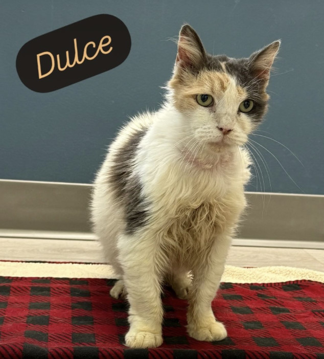 Dulce