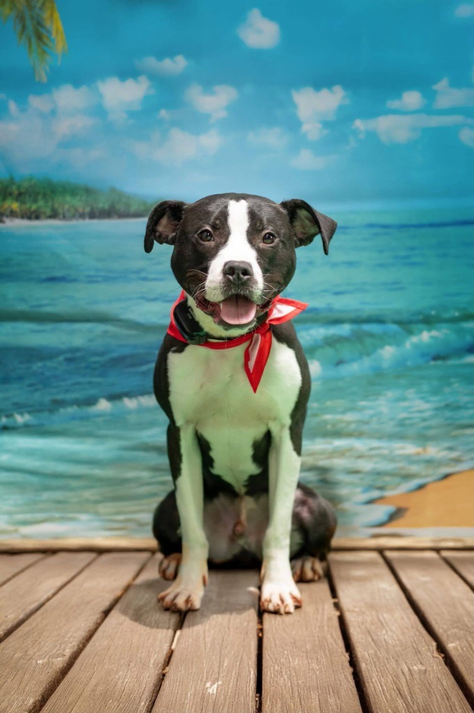 Roscoe