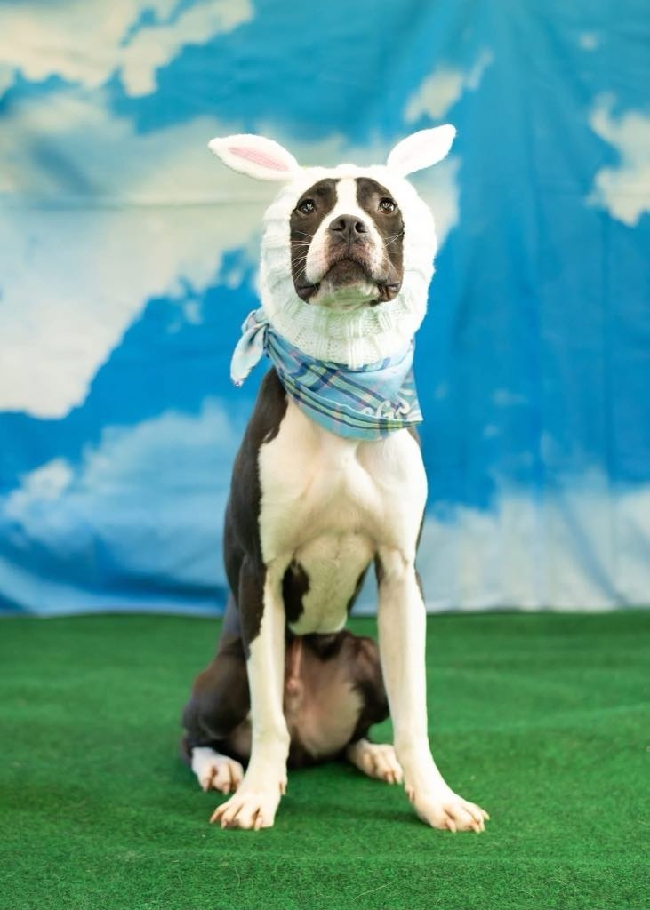 Roscoe