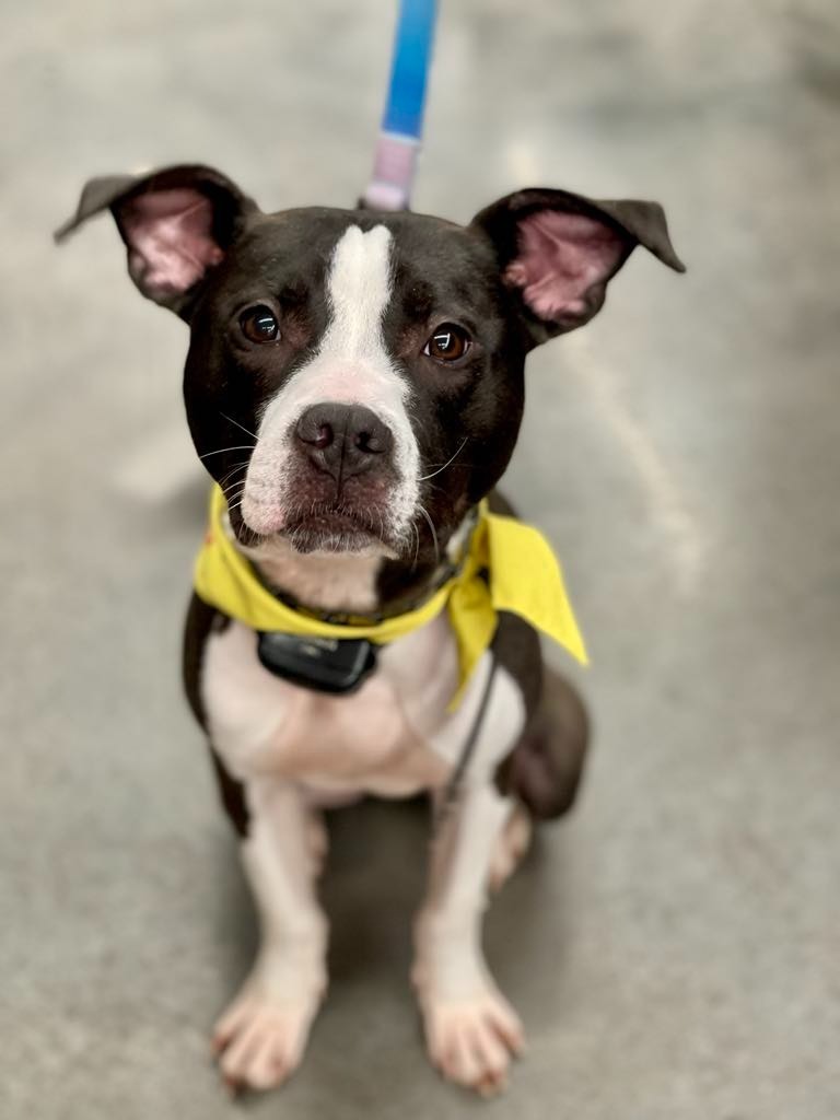 Roscoe