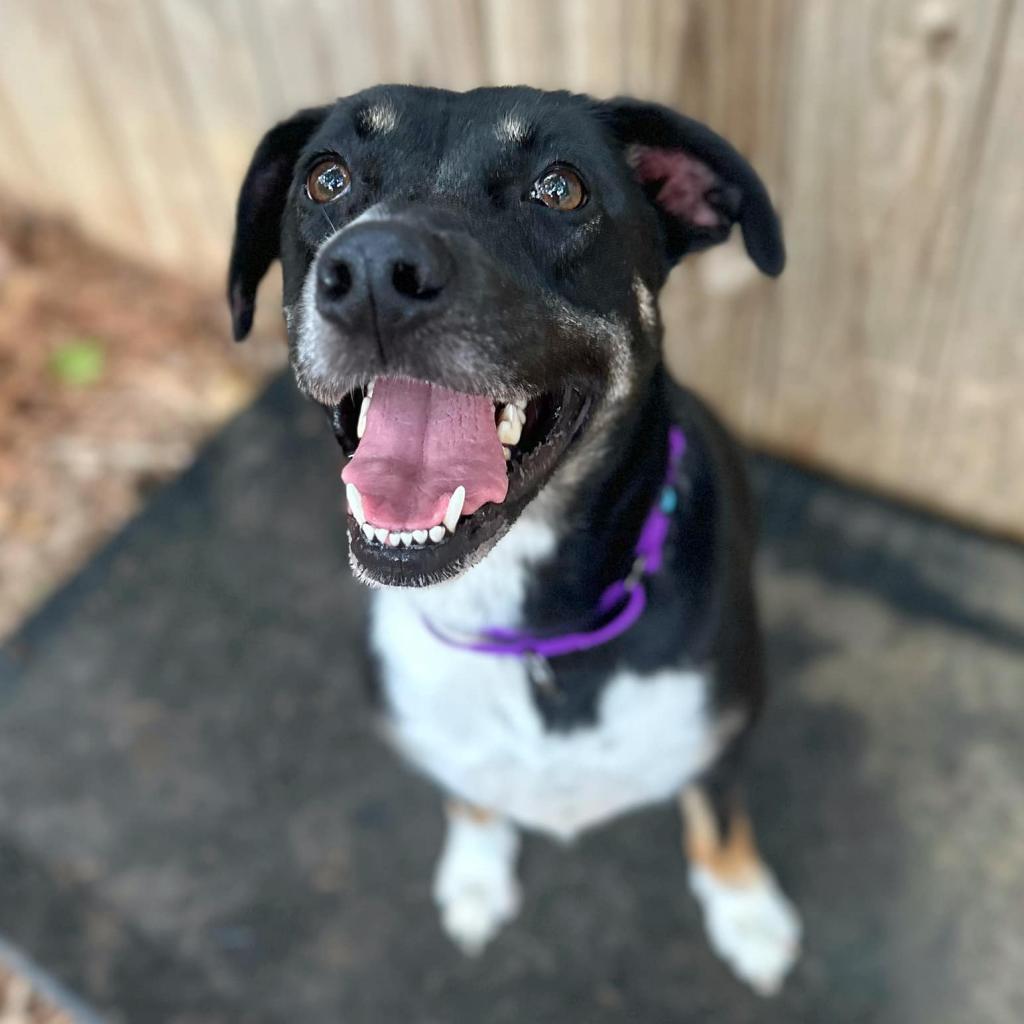 Athena