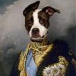 Pongo