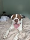 Max photo 2