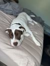 Max photo 3
