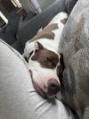 Max photo 5