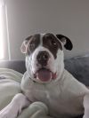 Max photo 6