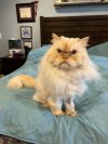 Walter photo 3