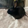 Sneezy photo 3