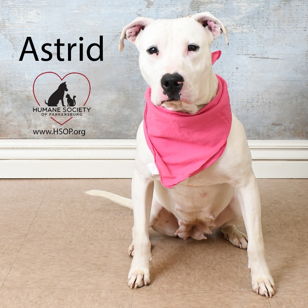 Astrid