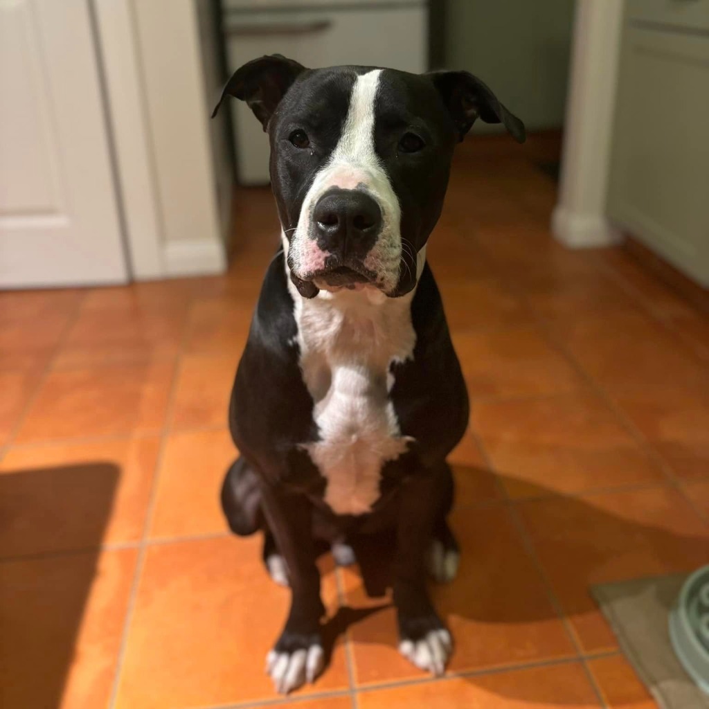 Tango