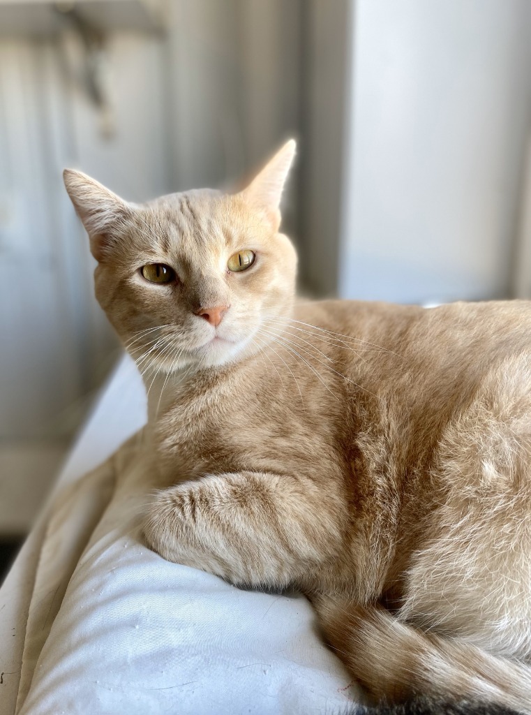 Max