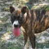 Meeka photo 3