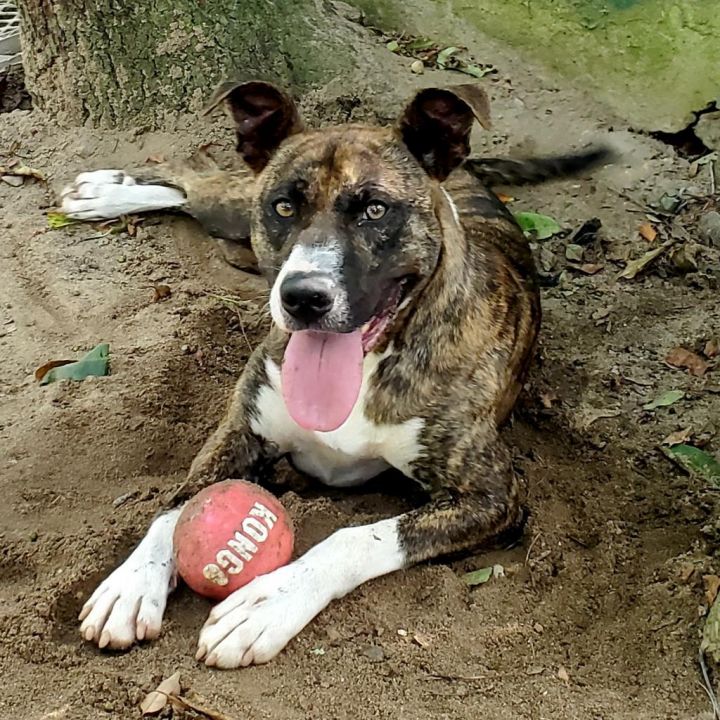 Meeka 4