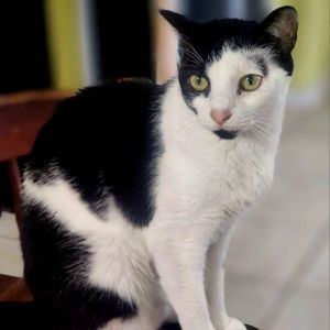 Lucy, Senior Female unknown
