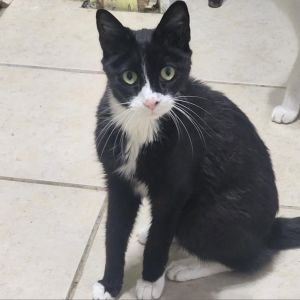Kramer, Senior Male unknown