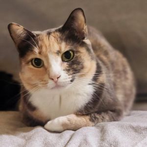 Cali, Senior Female unknown