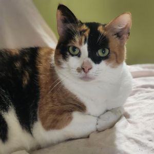 Betty, Senior Female unknown