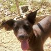 Matilda photo 4