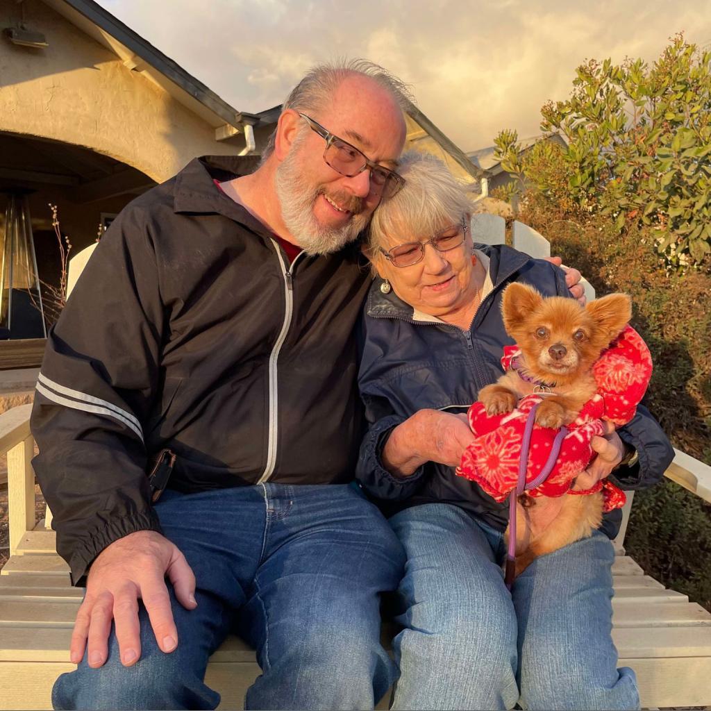 Milo, an adoptable Pomeranian in Ramona, CA, 92065 | Photo Image 3