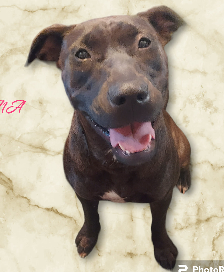 Xena