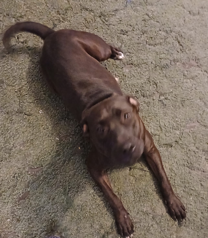 Xena