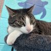 Simon photo 6