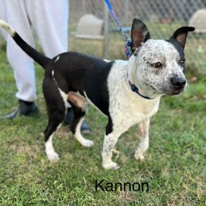 Kannon KANNON BALL Yes you read that correctly Kannon with a K why Because this boy will l