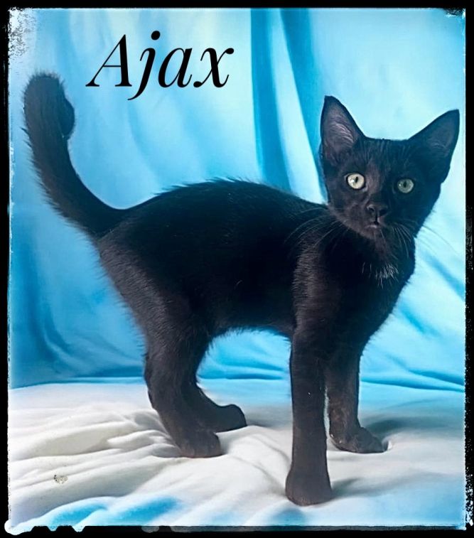 Ajax