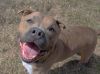 Otis photo 1