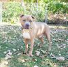Otis photo 2