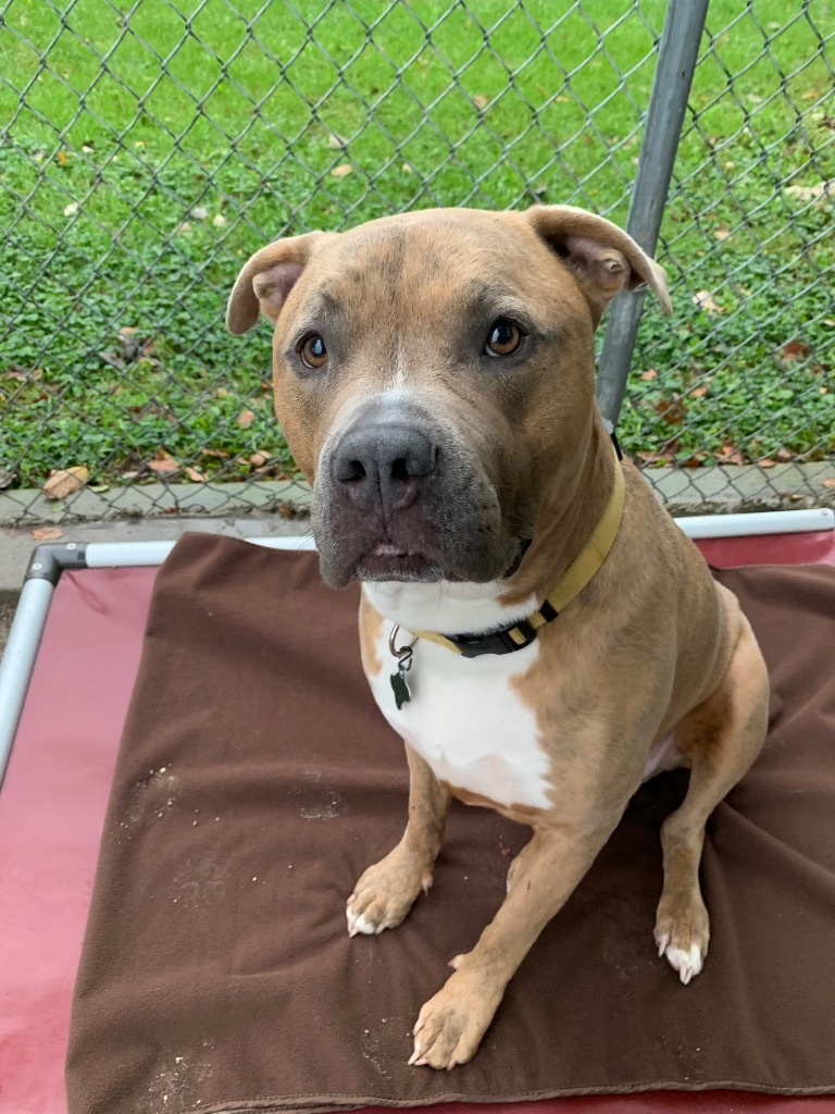 Otis