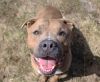 Otis photo 4