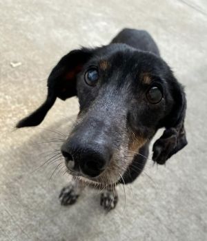 Swanson, Senior Male unknown