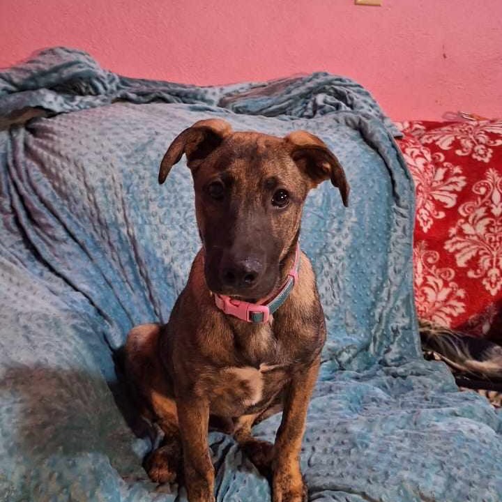 Cuco