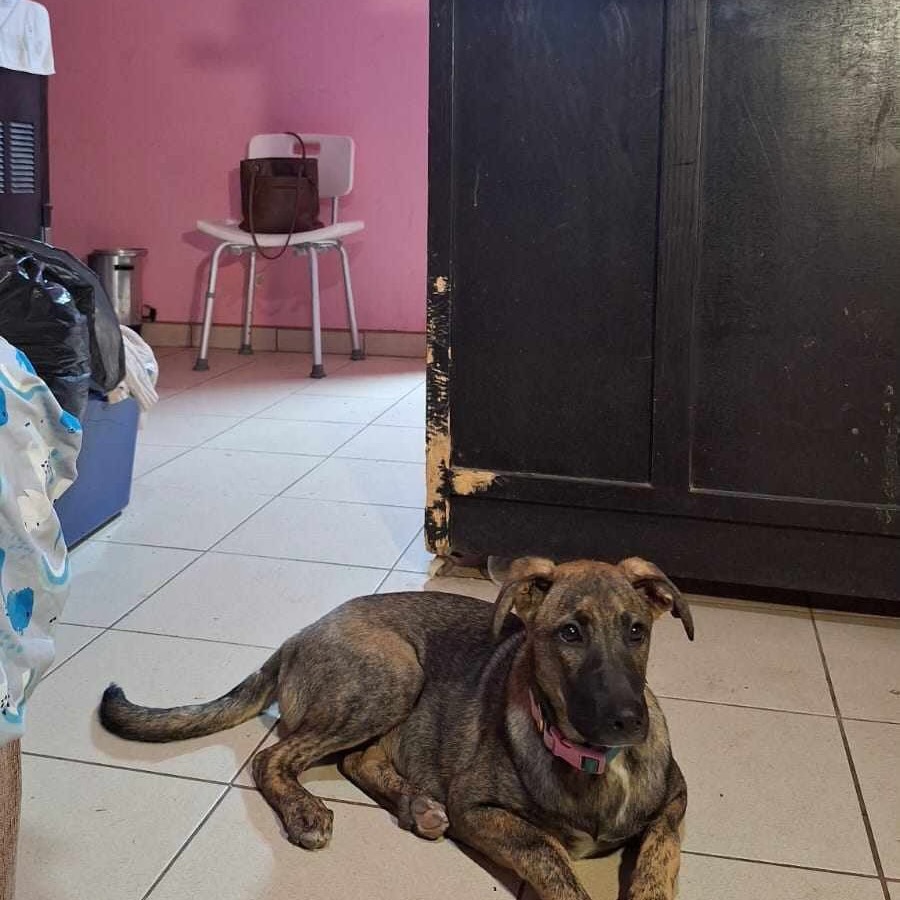 Cuco