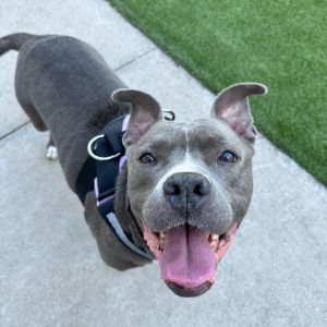 Bernie, Senior Female unknown