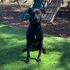 Buster photo 3