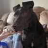 Buster photo 6