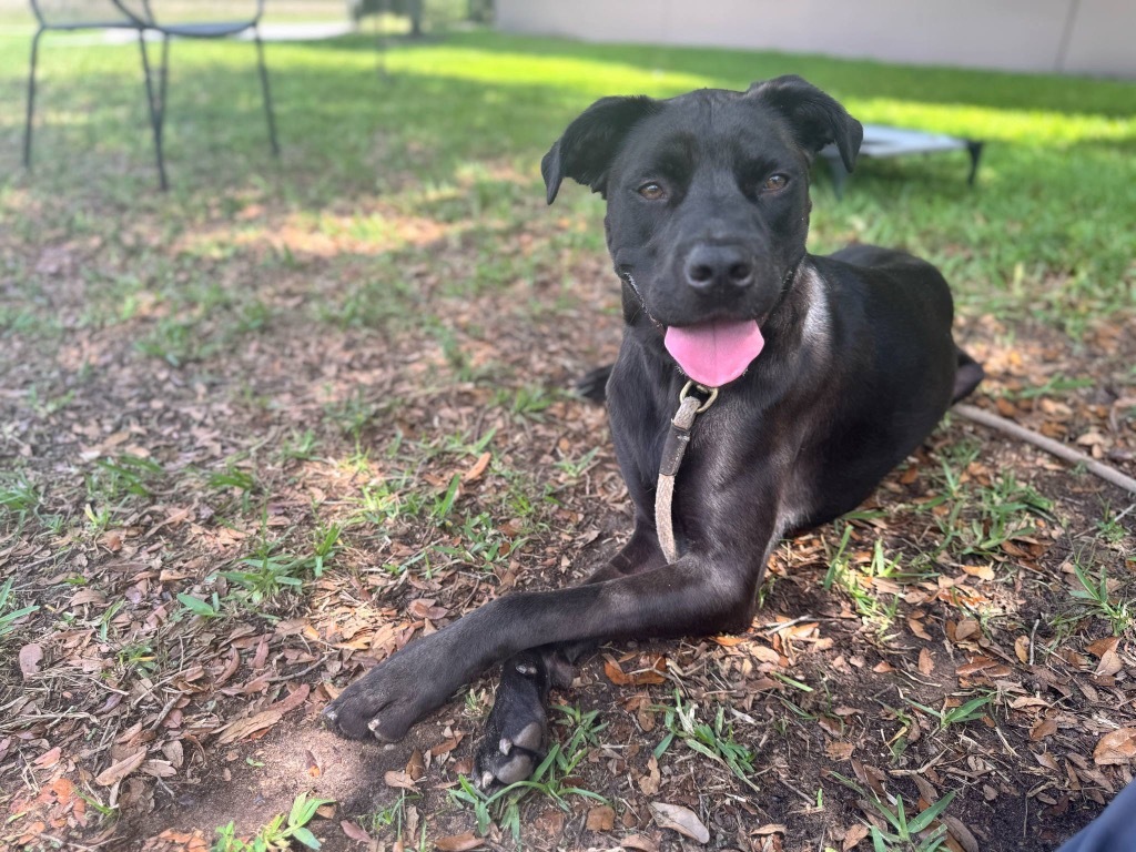 Coco
