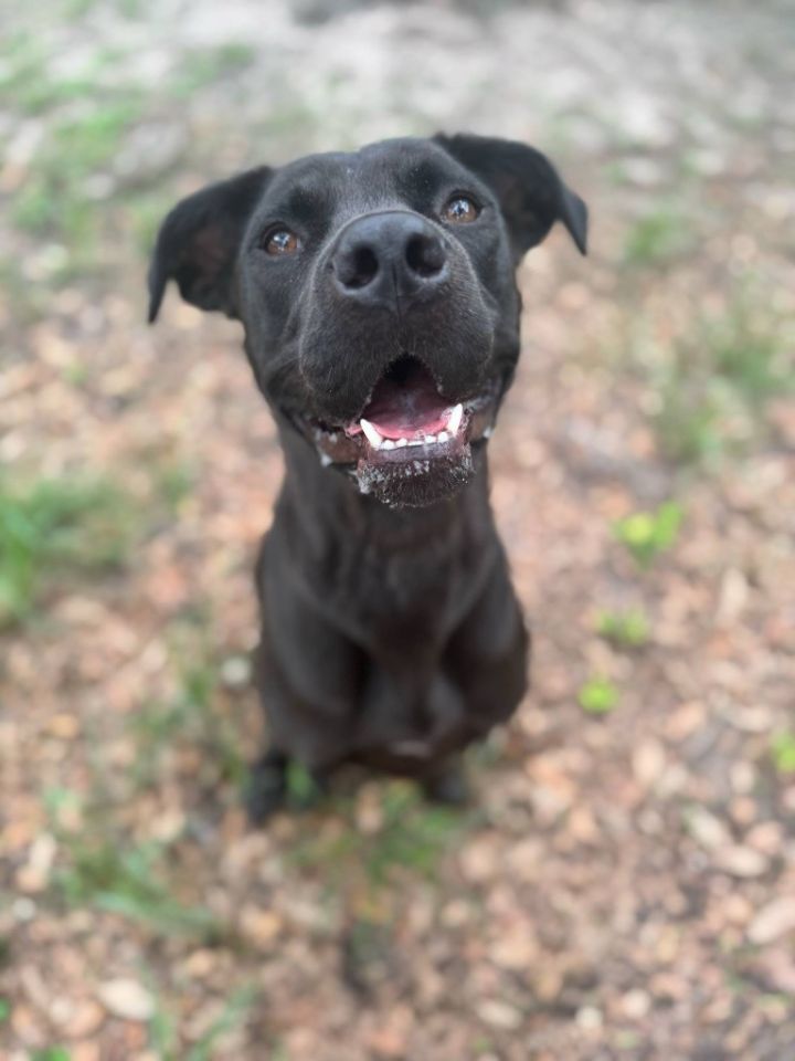 Coco 3