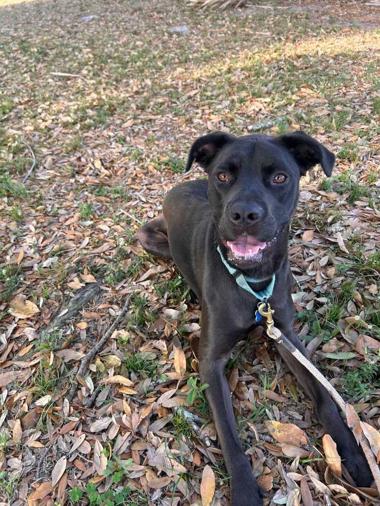 Coco