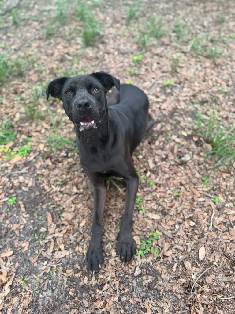 Coco
