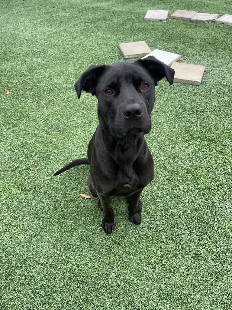 Coco