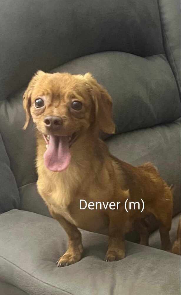 Denver 2