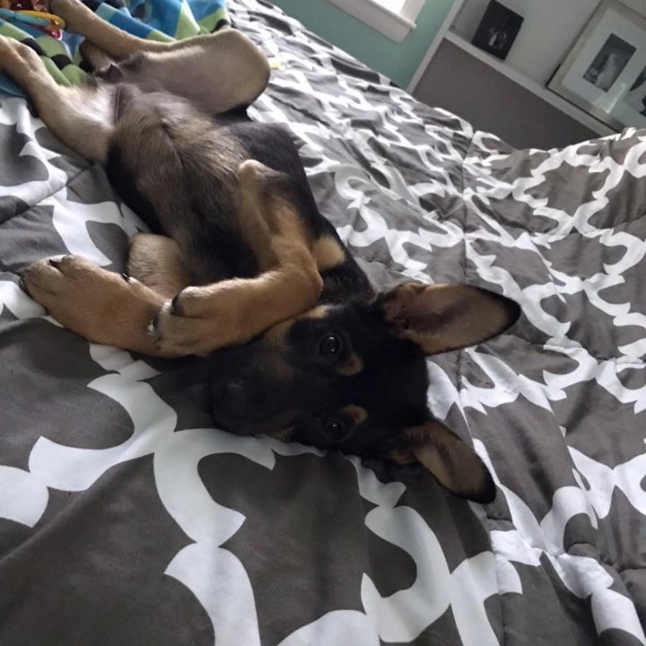 Freya 4