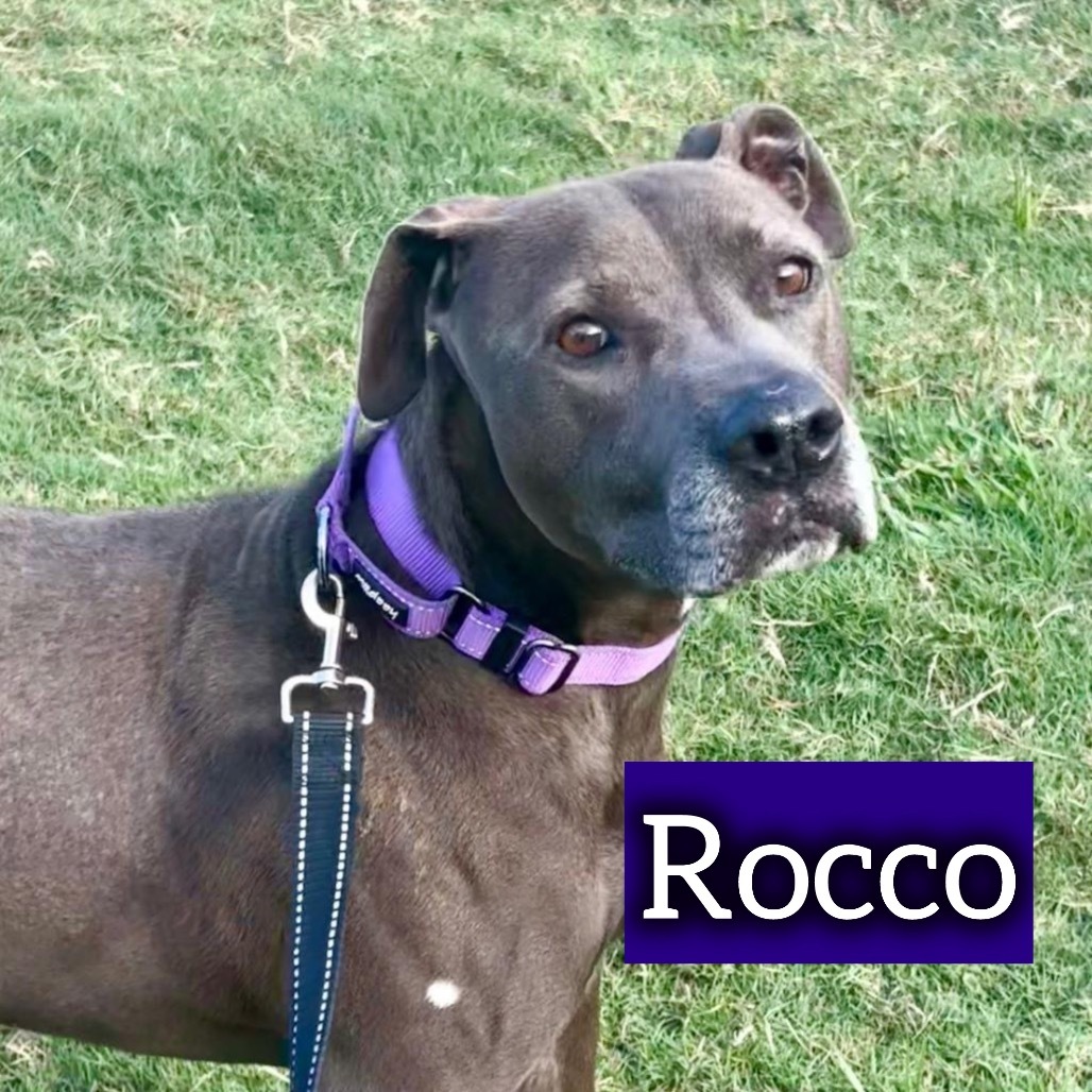 Rocco